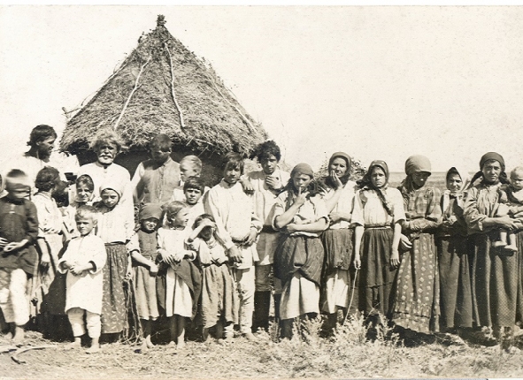 Фото дня